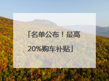 名单公布！最高20%购车补贴