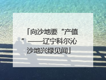 向沙地要“产值”——辽宁科尔沁沙地兴绿见闻