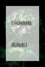 向海图强看海南