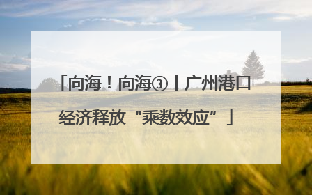 向海！向海③丨广州港口经济释放“乘数效应”