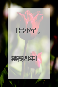 吕小军，禁赛四年