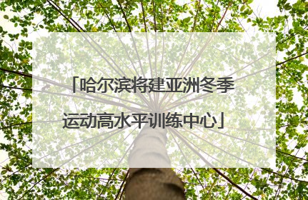 哈尔滨将建亚洲冬季运动高水平训练中心