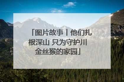 图片故事丨他们扎根深山 只为守护川金丝猴的家园