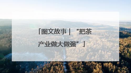 图文故事｜“把茶产业做大做强”