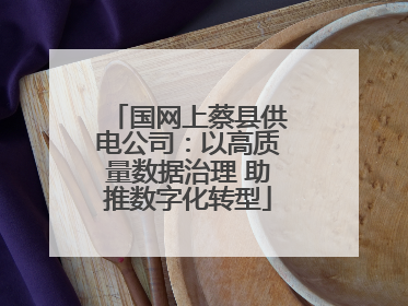 国网上蔡县供电公司：以高质量数据治理 助推数字化转型