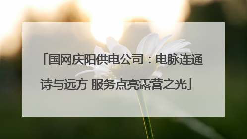 国网庆阳供电公司：电脉连通诗与远方 服务点亮露营之光