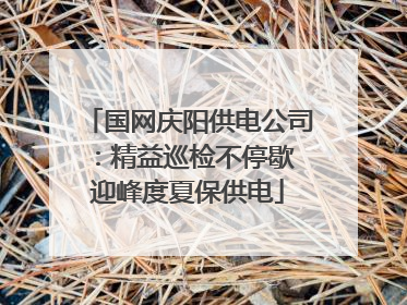 国网庆阳供电公司：精益巡检不停歇 迎峰度夏保供电