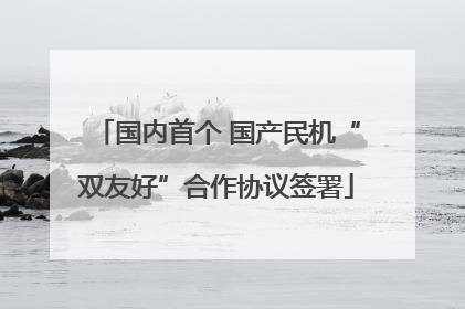 国内首个 国产民机“双友好”合作协议签署