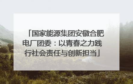 国家能源集团安徽合肥电厂团委：以青春之力践行社会责任与创新担当