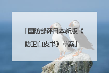 国防部评日本新版《防卫白皮书》草案