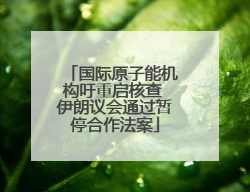国际原子能机构吁重启核查 伊朗议会通过暂停合作法案