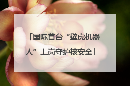 国际首台“壁虎机器人”上岗守护核安全