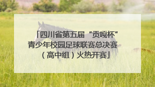 四川省第五届“贡嘎杯”青少年校园足球联赛总决赛（高中组）火热开赛
