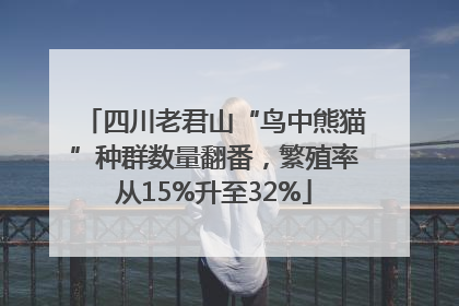 四川老君山“鸟中熊猫”种群数量翻番，繁殖率从15%升至32%