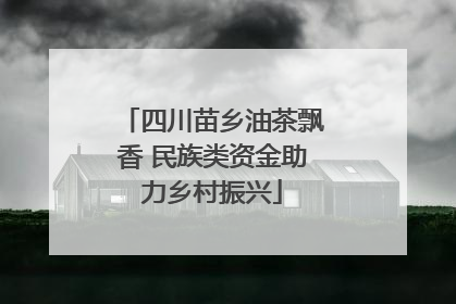 四川苗乡油茶飘香 民族类资金助力乡村振兴