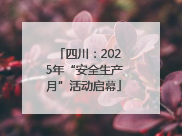 四川：2025年“安全生产月”活动启幕
