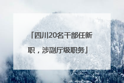 四川20名干部任新职，涉副厅级职务