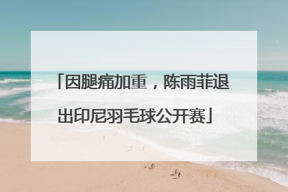 因腿痛加重，陈雨菲退出印尼羽毛球公开赛