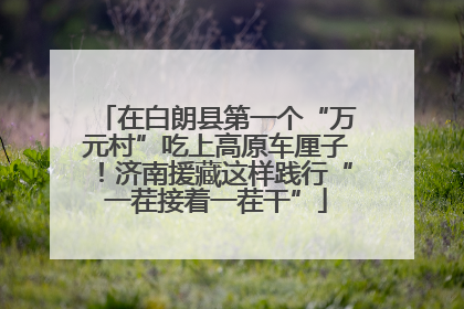 在白朗县第一个“万元村”吃上高原车厘子！济南援藏这样践行“一茬接着一茬干”