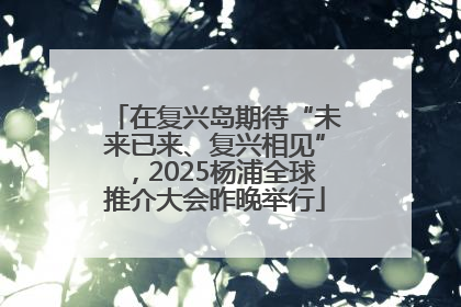 在复兴岛期待“未来已来、复兴相见”，2025杨浦全球推介大会昨晚举行