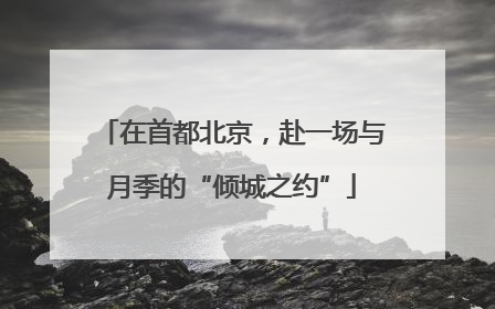 在首都北京，赴一场与月季的“倾城之约”