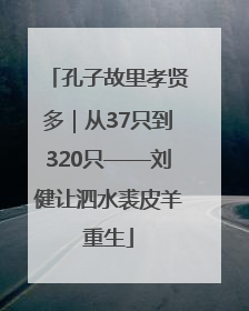 孔子故里孝贤多｜从37只到320只——刘健让泗水裘皮羊重生