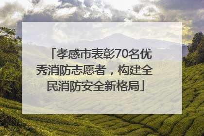 孝感市表彰70名优秀消防志愿者，构建全民消防安全新格局