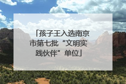 孩子王入选南京市第七批“文明实践伙伴”单位