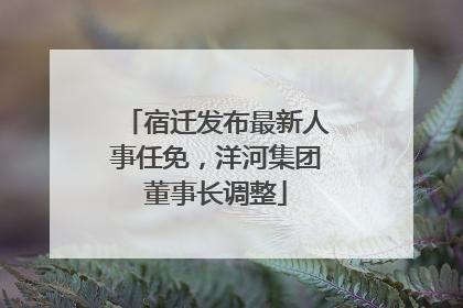 宿迁发布最新人事任免，洋河集团董事长调整