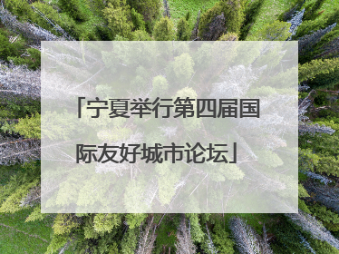 宁夏举行第四届国际友好城市论坛