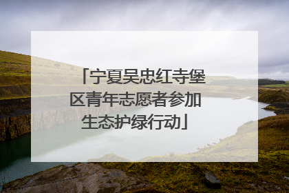宁夏吴忠红寺堡区青年志愿者参加生态护绿行动