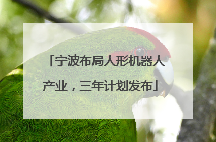 宁波布局人形机器人产业，三年计划发布