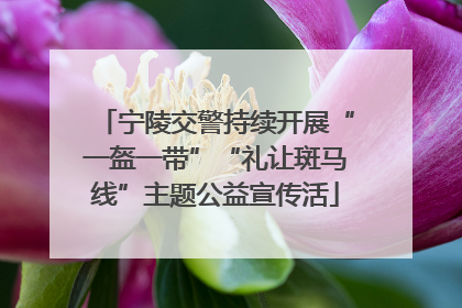宁陵交警持续开展“一盔一带”“礼让斑马线”主题公益宣传活