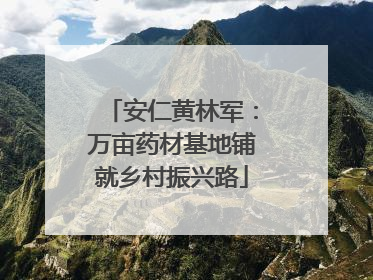 安仁黄林军：万亩药材基地铺就乡村振兴路