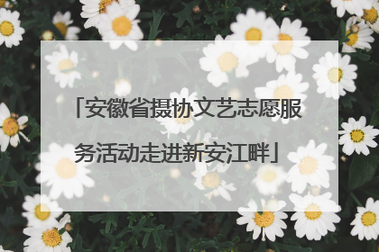 安徽省摄协文艺志愿服务活动走进新安江畔