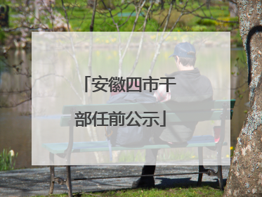 安徽四市干部任前公示