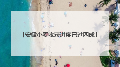 安徽小麦收获进度已过四成