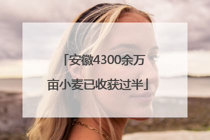 安徽4300余万亩小麦已收获过半
