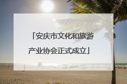 安庆市文化和旅游产业协会正式成立