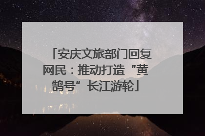 安庆文旅部门回复网民：推动打造“黄鹄号”长江游轮