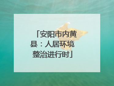安阳市内黄县：人居环境整治进行时