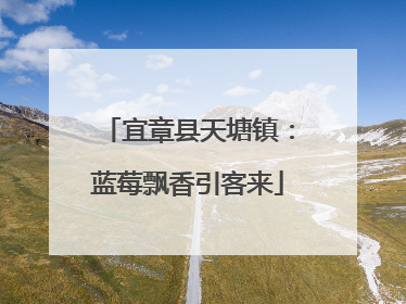 宜章县天塘镇：蓝莓飘香引客来