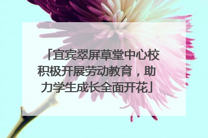 宜宾翠屏草堂中心校积极开展劳动教育，助力学生成长全面开花