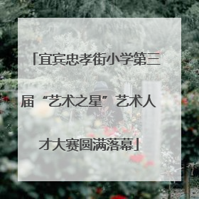 宜宾忠孝街小学第三届“艺术之星”艺术人才大赛圆满落幕
