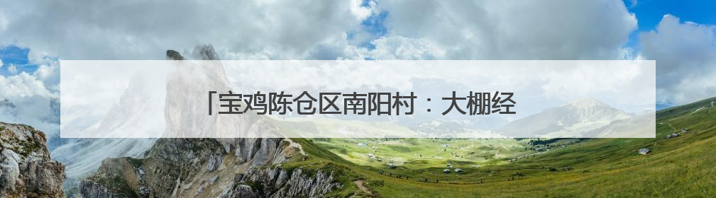 宝鸡陈仓区南阳村：大棚经济结硕果 乡村振兴绘新图