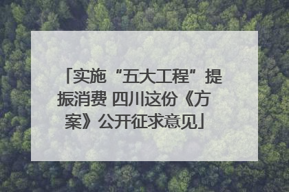 实施“五大工程”提振消费 四川这份《方案》公开征求意见