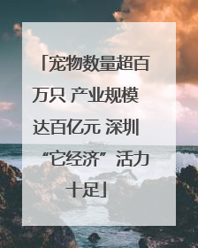 宠物数量超百万只 产业规模达百亿元 深圳“它经济”活力十足