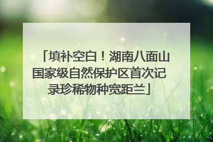填补空白！湖南八面山国家级自然保护区首次记录珍稀物种宽距兰