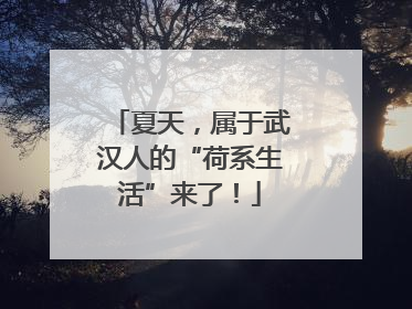 夏天，属于武汉人的“荷系生活”来了！