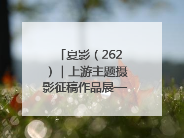 夏影（262）｜上游主题摄影征稿作品展——黄红专作品